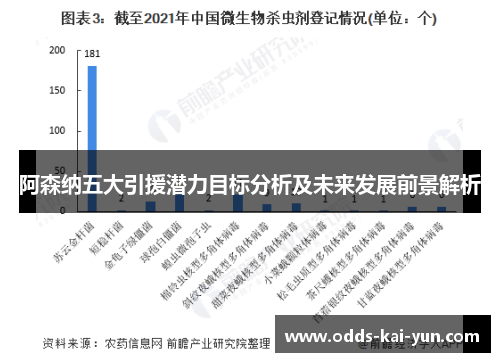 阿森纳五大引援潜力目标分析及未来发展前景解析