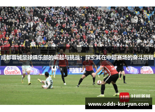 成都蓉城足球俱乐部的崛起与挑战：探索其在中超赛场的奋斗历程